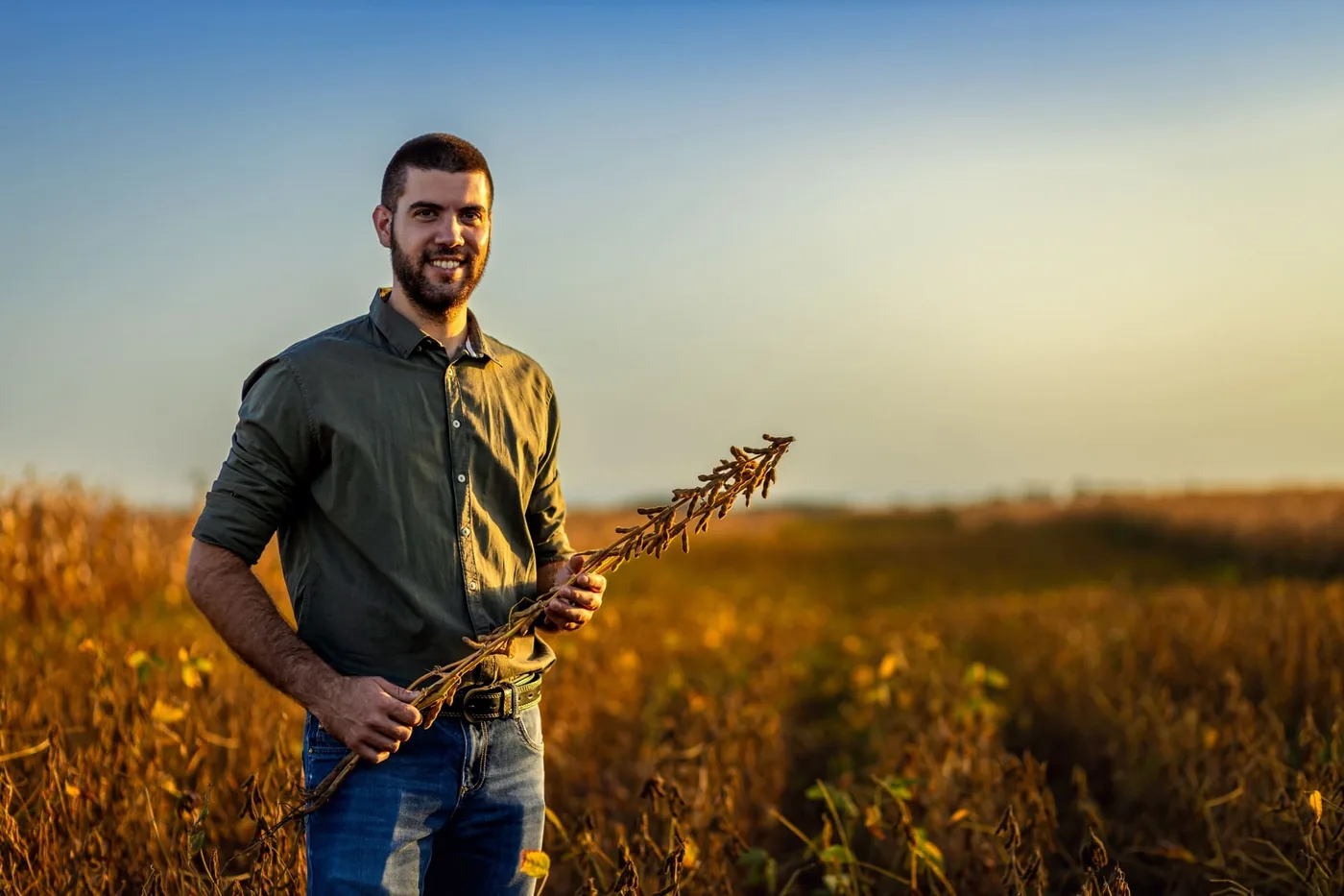 Produtor segurando um ramo de soja na lavoura ao entardecer
